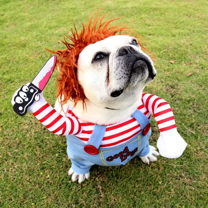 Dog's Costumes Chucky Guitarist Nurse Police on