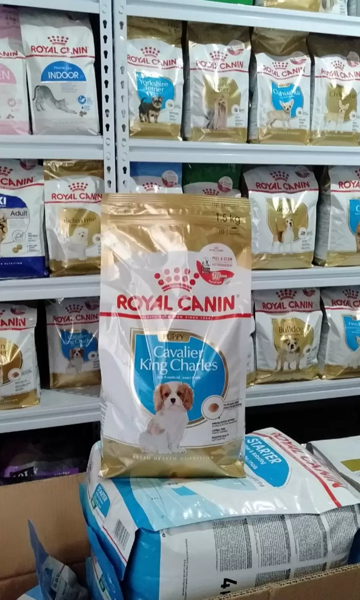 ROYAL CANIN CAVALIER KING CHARLES PUPPY 1.5KG on