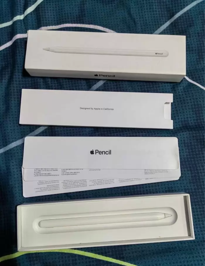 PHP 5,500 Apple Pencil 2 with Extra tips on
