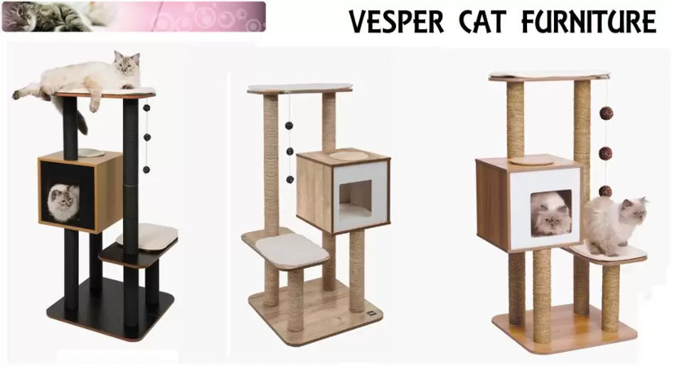 PHP 10,000 Vesper Cat Furniture V-High Base on